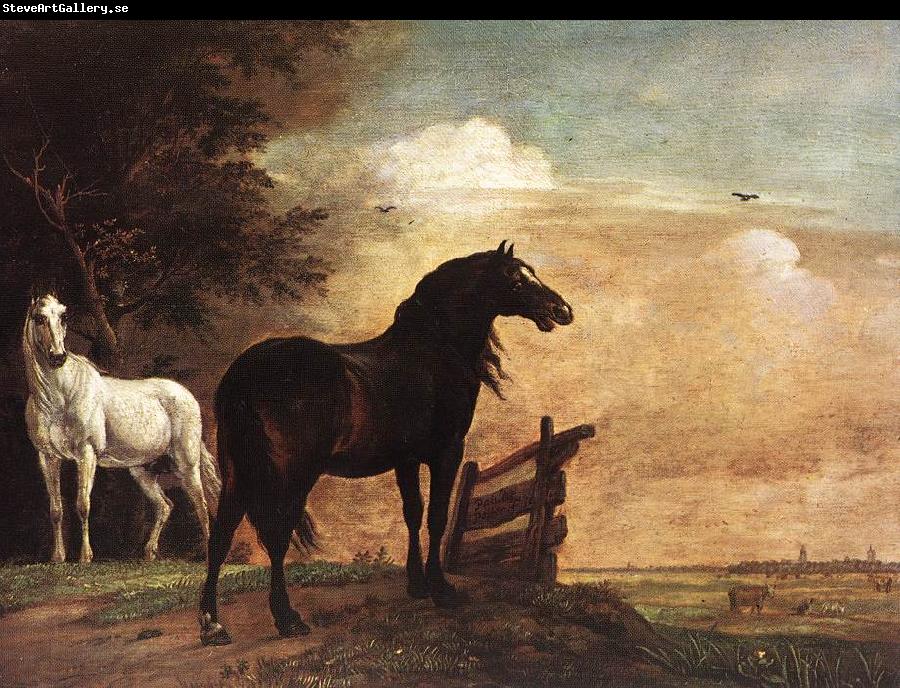 POTTER, Paulus Horses in a Field zg